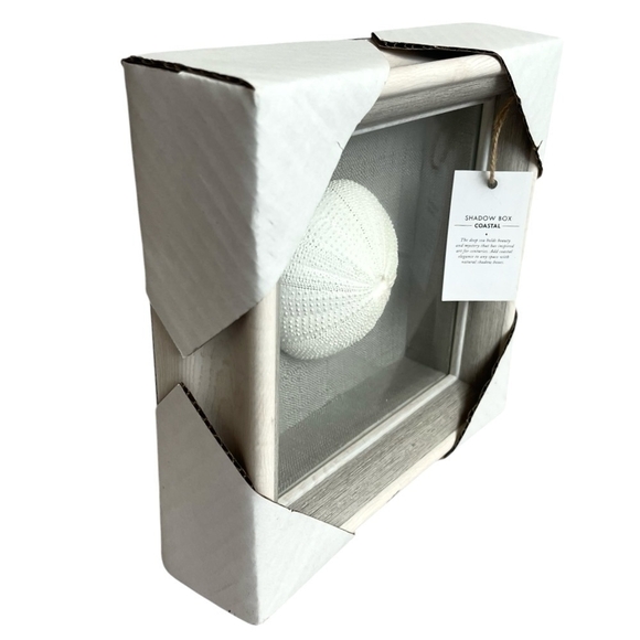 Coastal Shadow Box Sea Urchin Shell Wall Art Beach Wall Hanging Nautical Decor - Picture 4 of 6